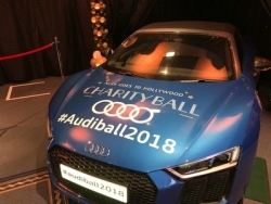 Stedek supports Midlands Audi Charity Ball 